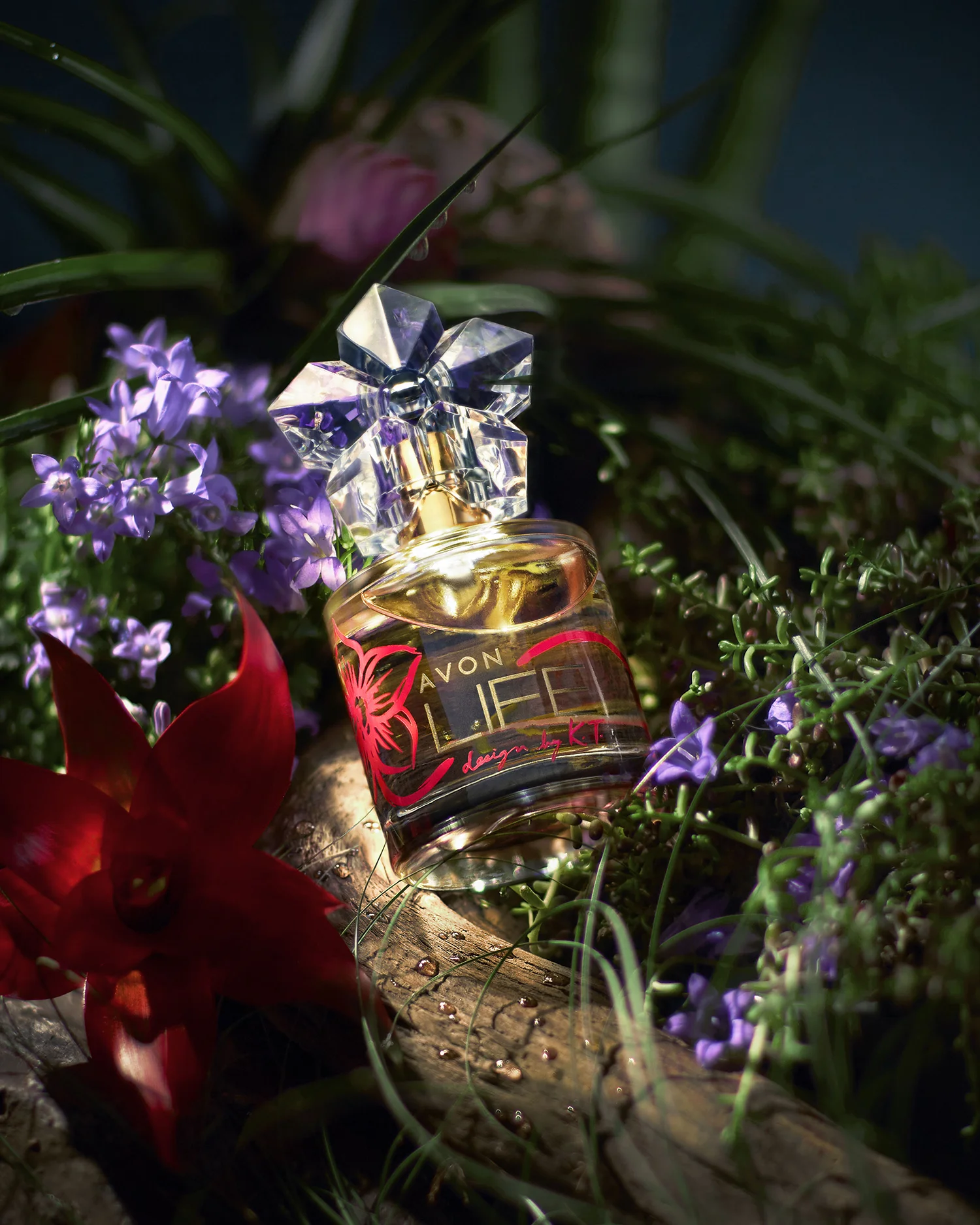 Arcanum potion — photo 1 of 4