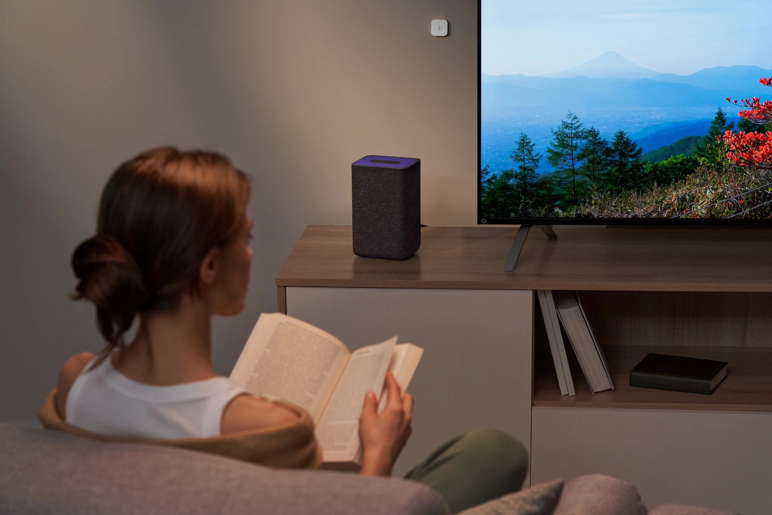 Yandex — Smart Home — photo 6 of 9